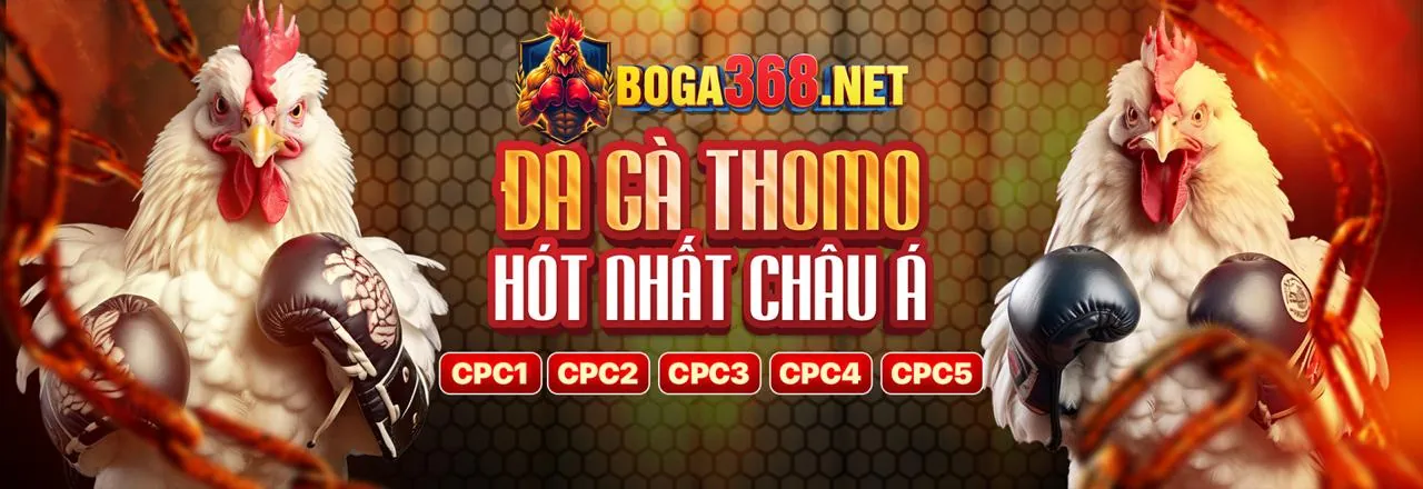 Sân đấu đá gà trực tuyến kịch tính tại 99win88